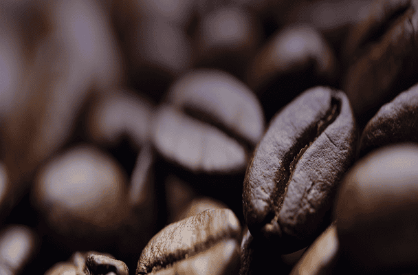 Coffee Trading in Dubai – DCD Dubai