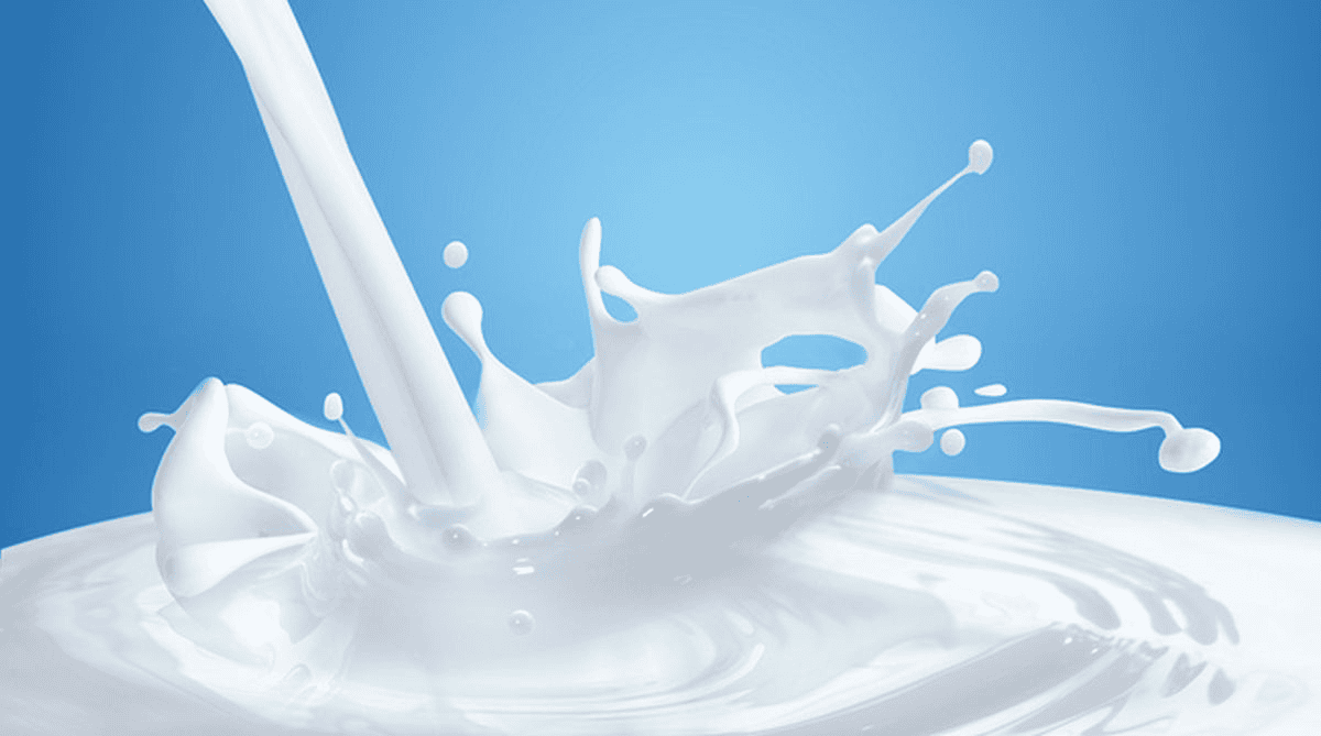 Milk Trading Company in Dubai – DCD Dubai