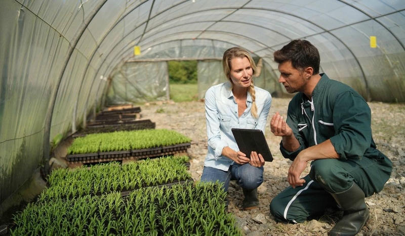 agricultural consultancy UAE